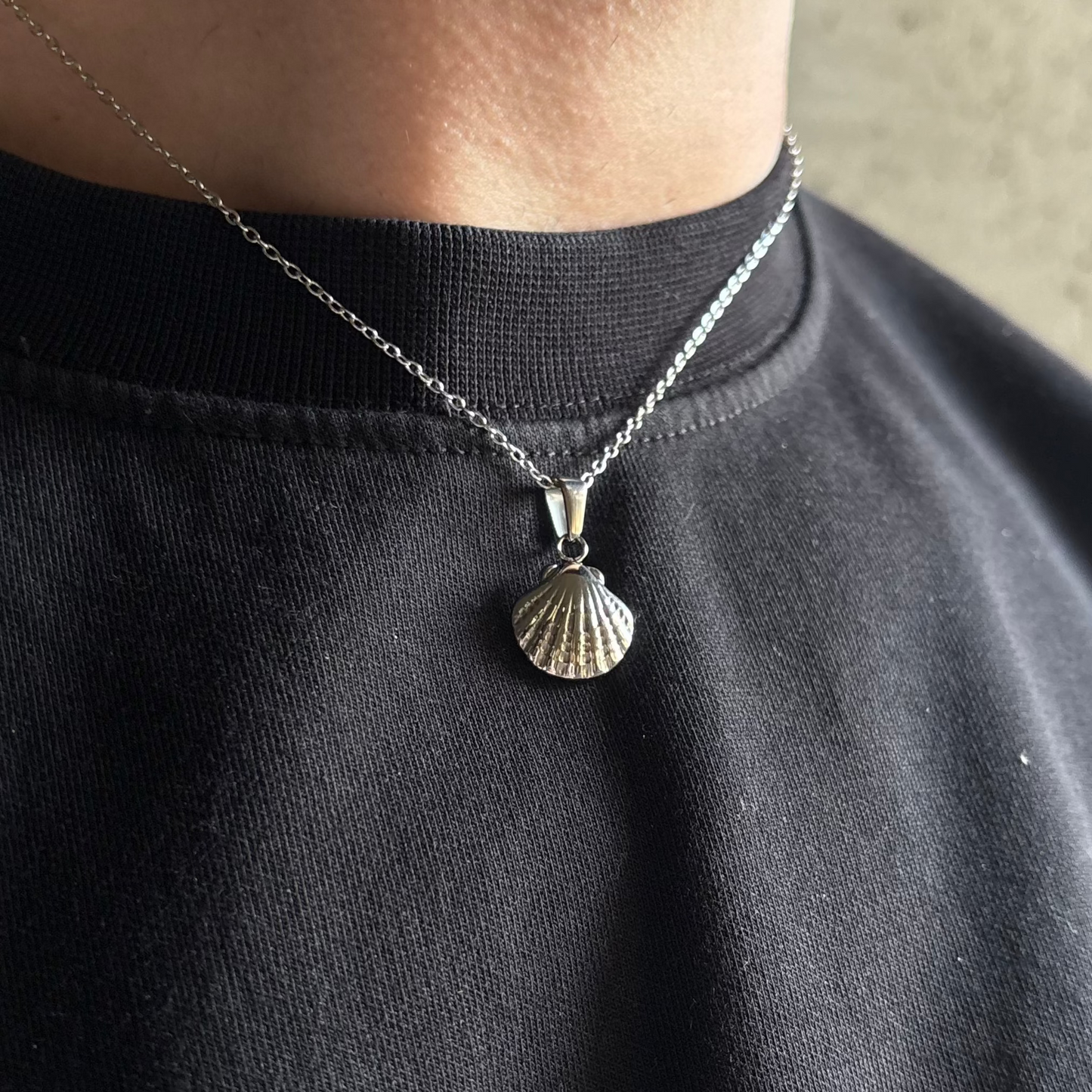 Le Coquillage Argent